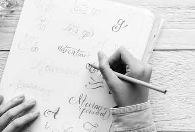 PG火树赢花玩法解析：新手也能轻松赢奖励